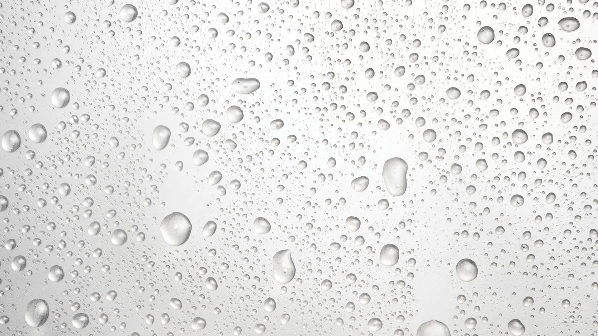 Projects Background