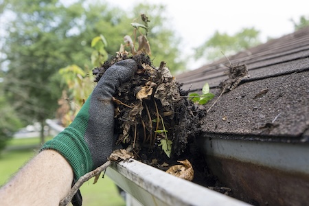 Gutter Cleaning in Alpharetta Thumbnail