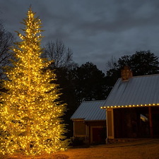 ChristmasLightsGallery 18