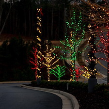ChristmasLightsGallery 11