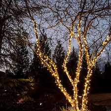 ChristmasLightsGallery 8