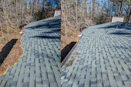 Gutter Cleaning